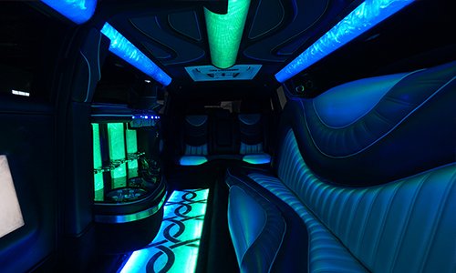 20 passenger party bus