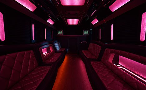 Lansing party bus